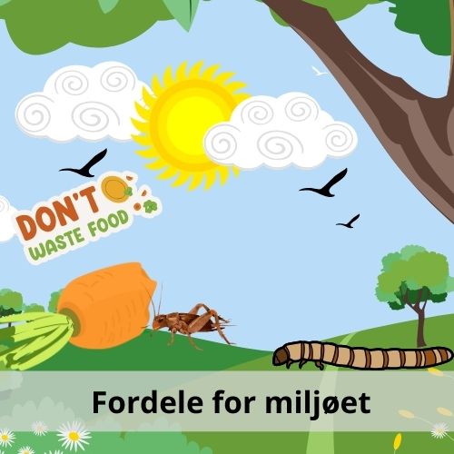 Fordele for milijøet ved at producere insekter til fødevare