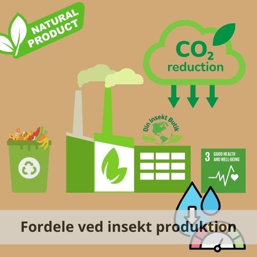 Fordele ved at producere spiselige insekter