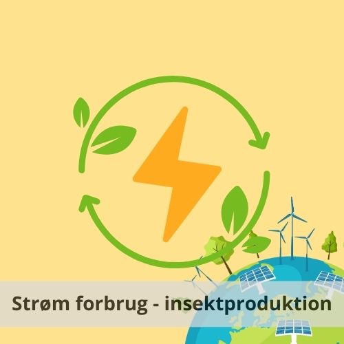 Strøm forbrug ved produktion af insekter og andre animalske fødevare