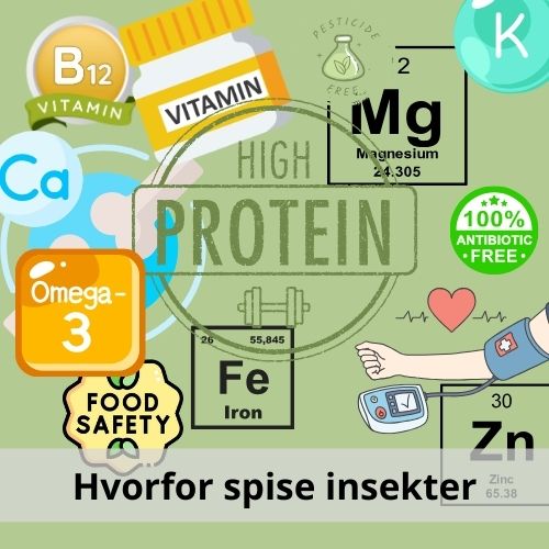 Hvorfor spise insekter