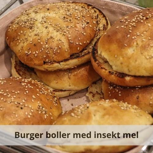 Opskrift på burger boller lavet med insekt mel