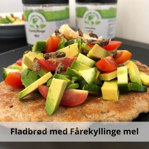 Fladbrød lavet på insekt mel (Fårekylling mel)