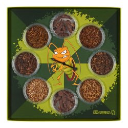 Insekt spil - The Big Bug Challenge