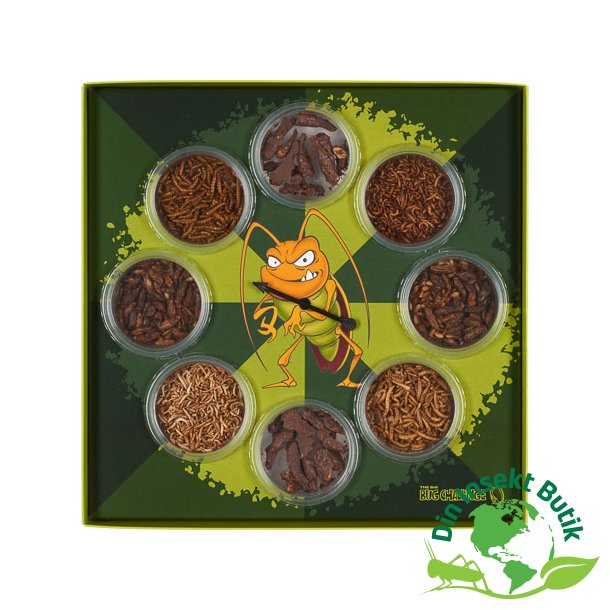 Insekt spil - The Big Bug Challenge