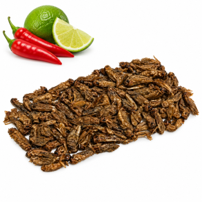 Insekt snack - F�rekyllinger med chili og lime