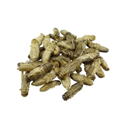 Frekyllinger - Trret