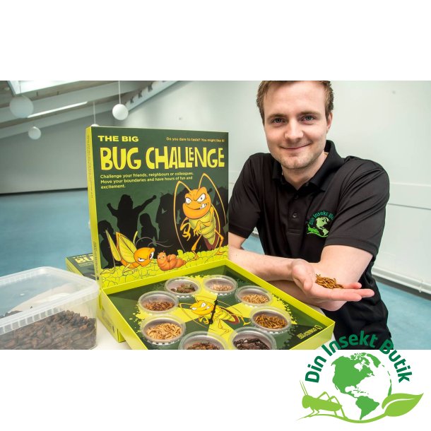 Foredrag om insekter