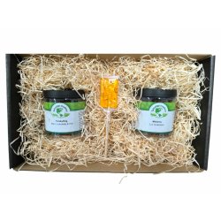 Gavekurv med 2 x insekt chokolade og 1 slikkepind