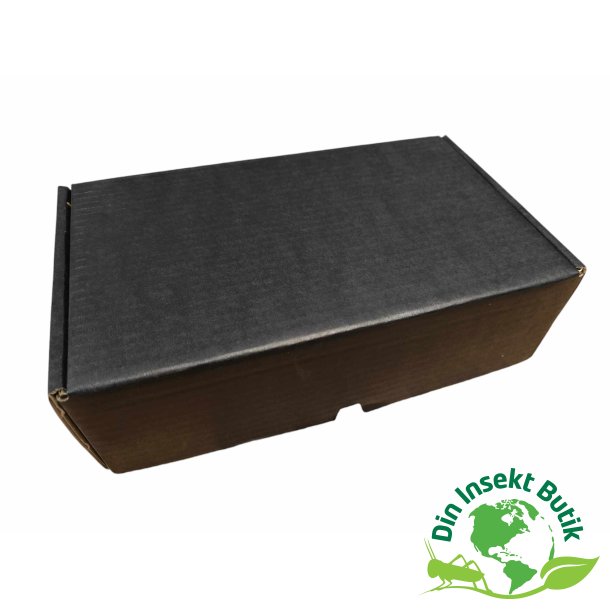 Gavekurv med 2 x insekt chokolade og 1 slikkepind