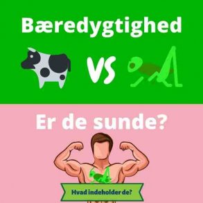 Hvor bredygtig er insekter og hvorfor spise dem?