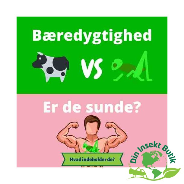 Hvor bredygtig er insekter og hvorfor spise dem?