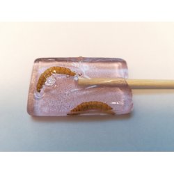 Brombr slikkepind med melorm