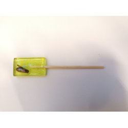 Mango slikkepind med frekylling