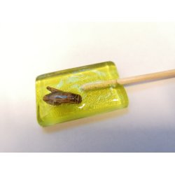 Mango slikkepind med frekylling