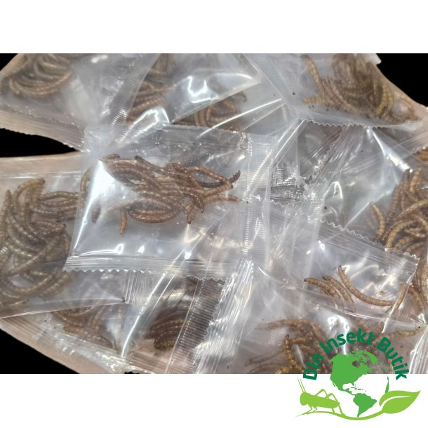 trick or treat - Halloween pakke