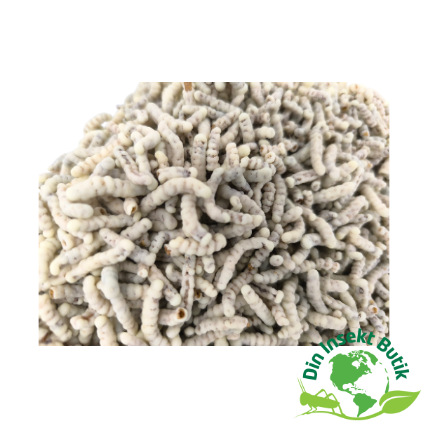 Melorm med Hvid chokolade