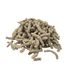 Melorm med Hvid chokolade