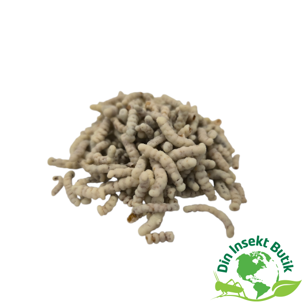 Melorm med Hvid chokolade