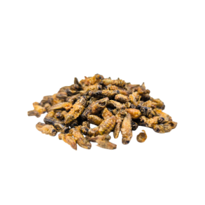 Insekt snack - F�rekyllinger med BBQ