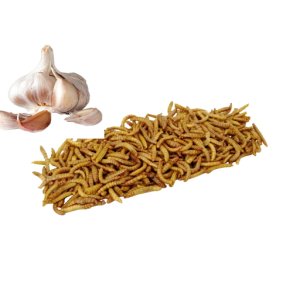 Insekt snack - Melorme med hvidlg 