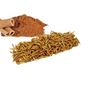 Insekt snack - Melorme med Kanel