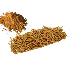 Insekt snack - Melorme med Karry