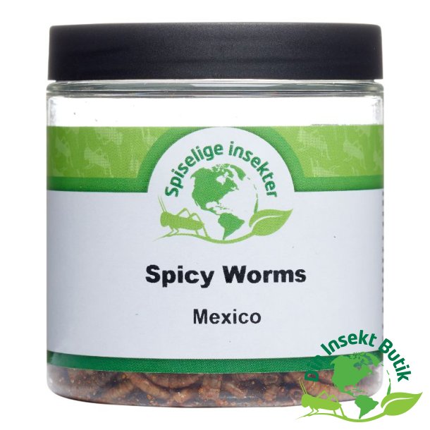 Insekt snack - smagen af Mexico