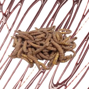 Melorm med Lys chokolade