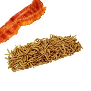 Insekt snack - Melorme med Bacon