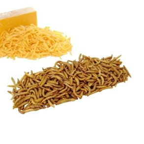 Insekt snack - Melorme med Chedder