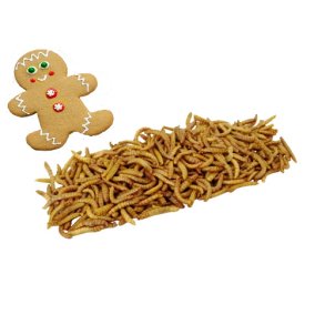 Insekt snack - Melorme med smagen af honningkage