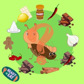 Mystery box med Insekt Snacks 