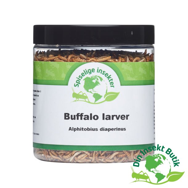 Buffalo larver - Frysetørret