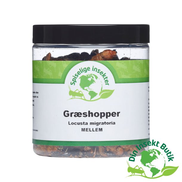 Grshopper - Frysetrret (Mellem)