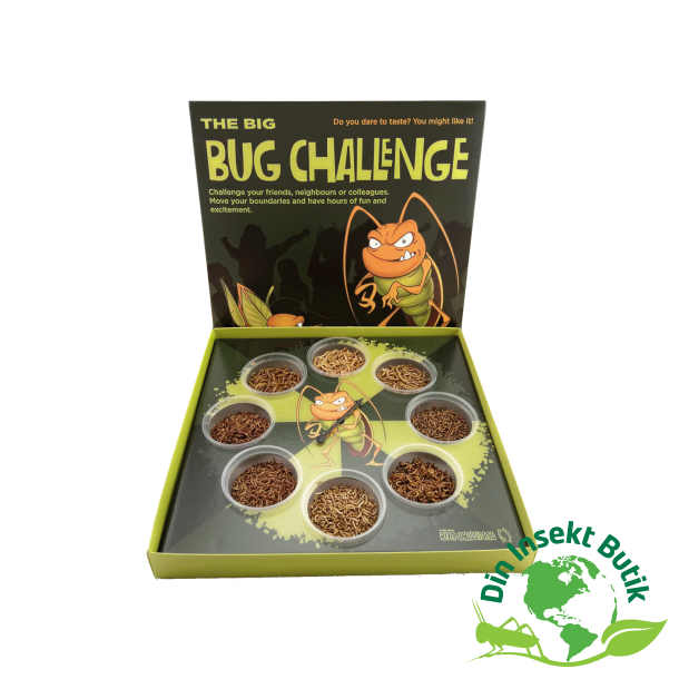 Insekt spil - The Big Bug Challenge Worms Edition