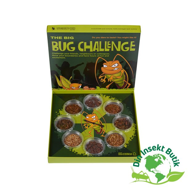 Insekt spil - The Big Bug Challenge