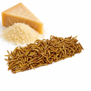 Insekt snack - Melorme med parmesan