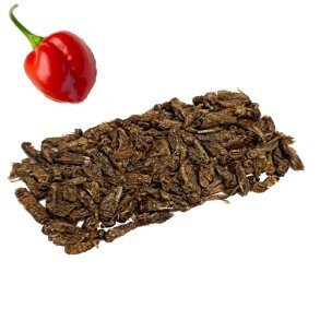 Insekt snack - Frekyllinger med Habanero chili