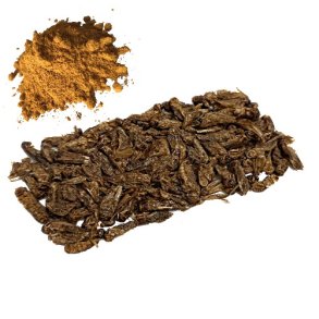 Insekt snack - Frekyllinger med Karry