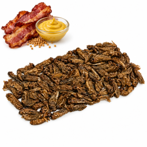 Insekt snack - F�rekyllinger med Bacon og sennep