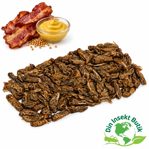 Insekt snack - F�rekyllinger med Bacon og sennep
