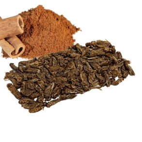 Insekt snack - F�rekyllinger med Kanel