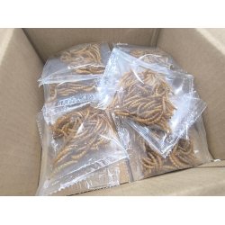 10 poser ristet melorme