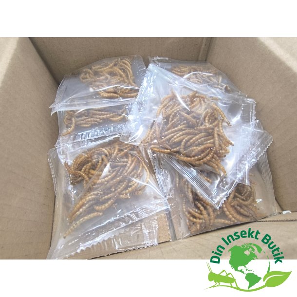 10 poser ristet melorme