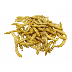 Spiselige insekter - Frysetørret/Tørret